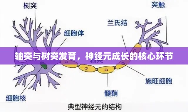 沉鱼落雁 第2页