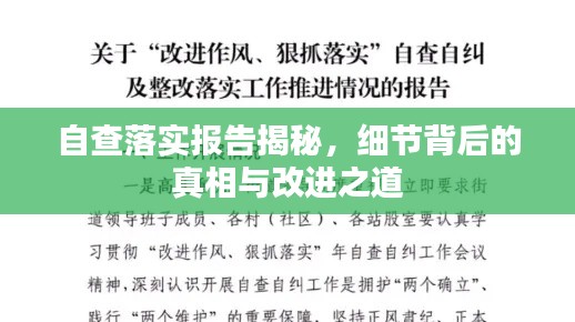 自查落实报告揭秘，细节背后的真相与改进之道