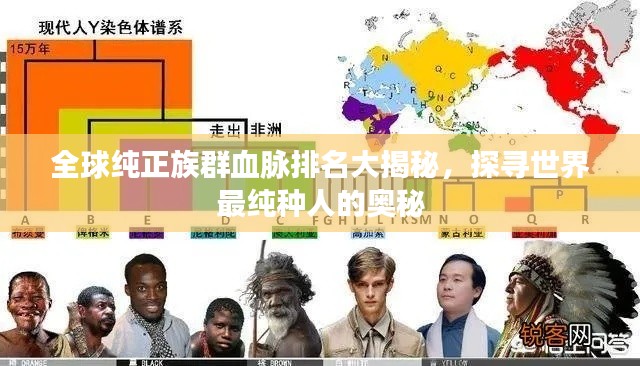 观往知来 第2页