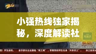 小强热线独家揭秘，深度解读社会热点话题