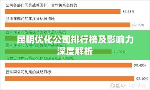 昆明优化公司排行榜及影响力深度解析