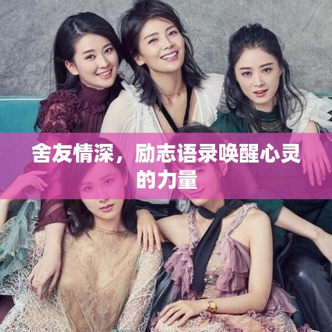 舍友情深，励志语录唤醒心灵的力量