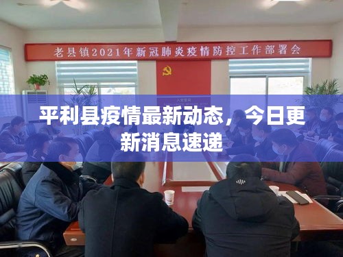平利县疫情最新动态，今日更新消息速递