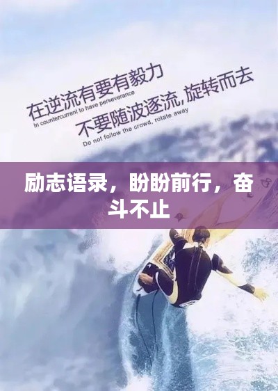 励志语录，盼盼前行，奋斗不止