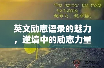 英文励志语录的魅力，逆境中的励志力量，激发无尽潜能