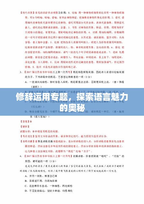 修辞运用专题，探索语言魅力的奥秘