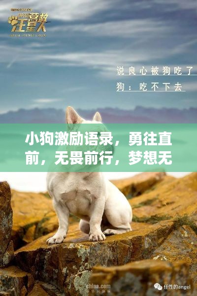 小狗激励语录，勇往直前，无畏前行，梦想无界限