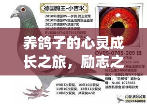 养鸽子的心灵成长之旅，励志之路大放异彩