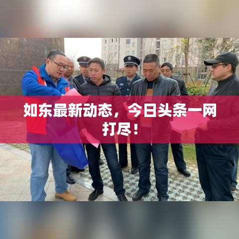 如东最新动态，今日头条一网打尽！