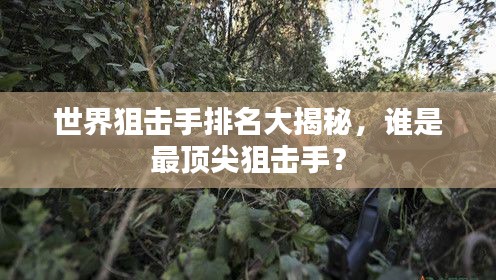 世界狙击手排名大揭秘，谁是最顶尖狙击手？