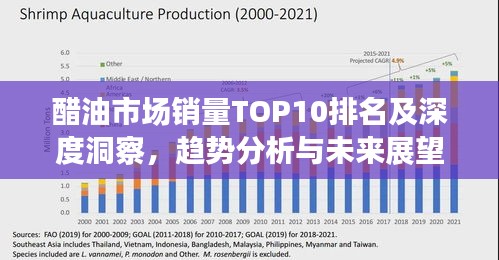 醋油市场销量TOP10排名及深度洞察，趋势分析与未来展望