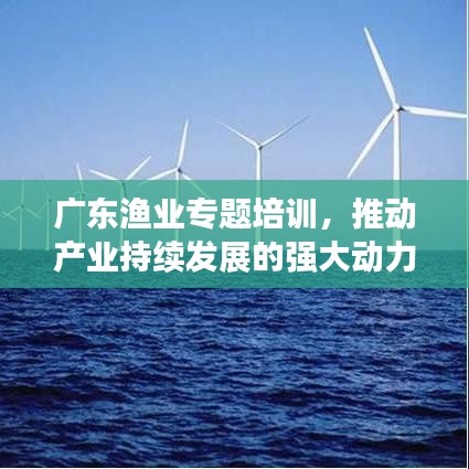 广东渔业专题培训，推动产业持续发展的强大动力之源