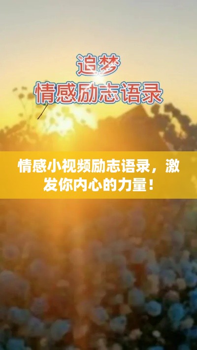 情感小视频励志语录，激发你内心的力量！