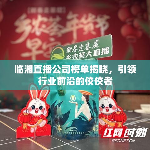 临湘直播公司榜单揭晓，引领行业前沿的佼佼者