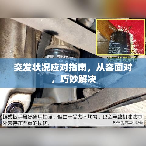 突发状况应对指南，从容面对，巧妙解决