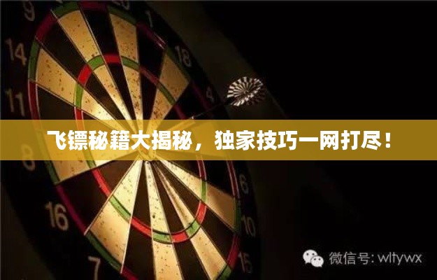 飞镖秘籍大揭秘，独家技巧一网打尽！
