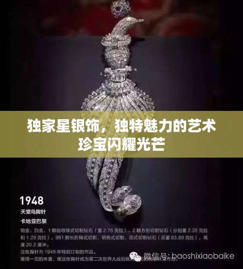 独家星银饰，独特魅力的艺术珍宝闪耀光芒