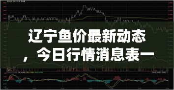 辽宁鱼价最新动态，今日行情消息表一网打尽！