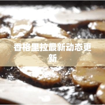 香格里拉最新动态更新