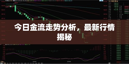 今日金流走势分析，最新行情揭秘