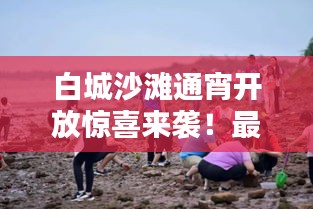 白城沙滩通宵开放惊喜来袭！最新消息一网打尽