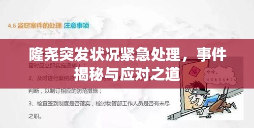 隆尧突发状况紧急处理，事件揭秘与应对之道