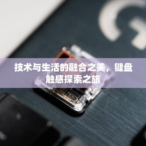 技术与生活的融合之美，键盘触感探索之旅