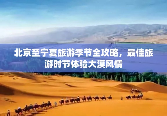 北京至宁夏旅游季节全攻略，最佳旅游时节体验大漠风情