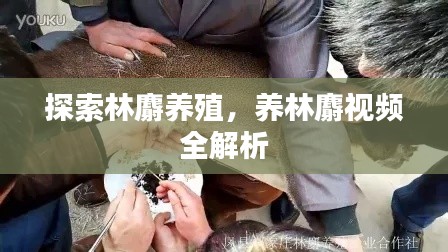关于我们 第74页
