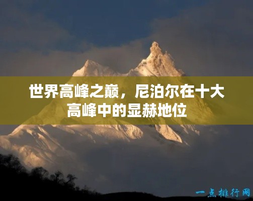 无独有偶