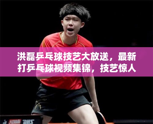 洪磊乒乓球技艺大放送，最新打乒乓球视频集锦，技艺惊人，球迷必分享！