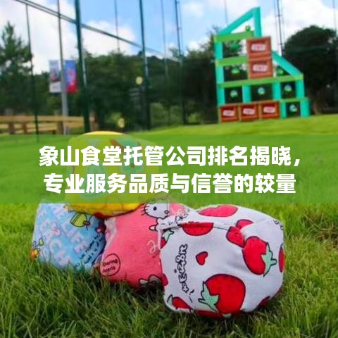 象山食堂托管公司排名揭晓，专业服务品质与信誉的较量