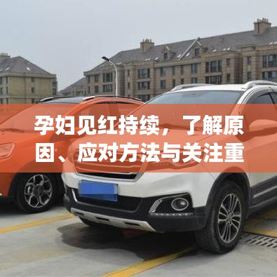 怀真抱素 第2页