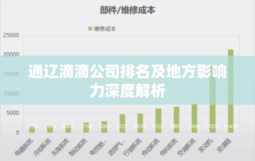通辽滴滴公司排名及地方影响力深度解析