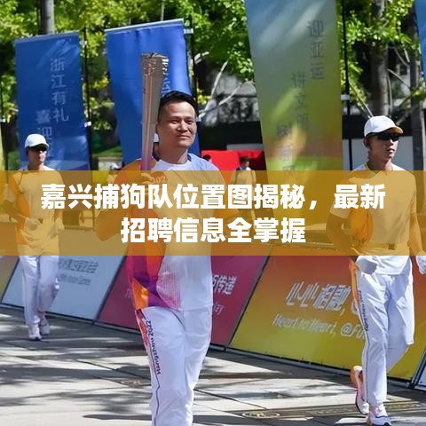 嘉兴捕狗队位置图揭秘，最新招聘信息全掌握