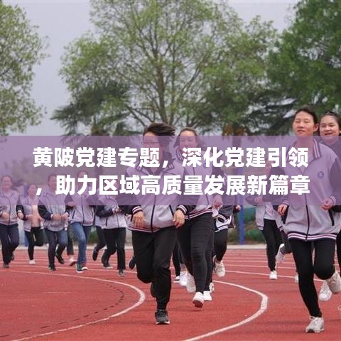 黄陂党建专题，深化党建引领，助力区域高质量发展新篇章