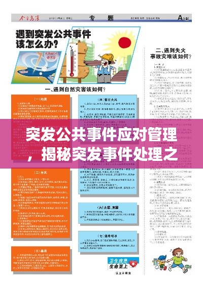 突发公共事件应对管理，揭秘突发事件处理之道