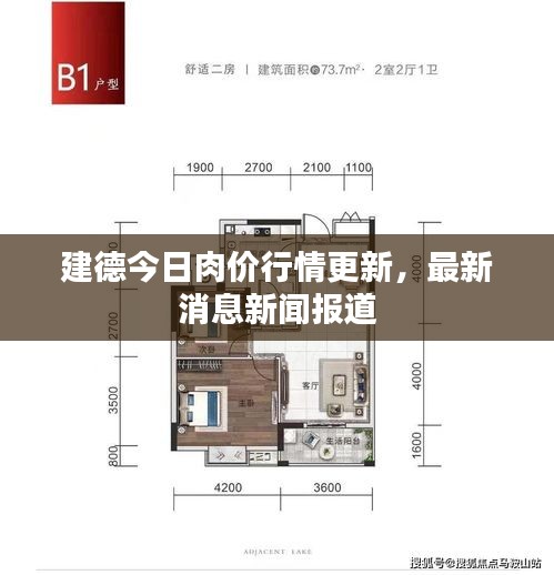 建德今日肉价行情更新，最新消息新闻报道
