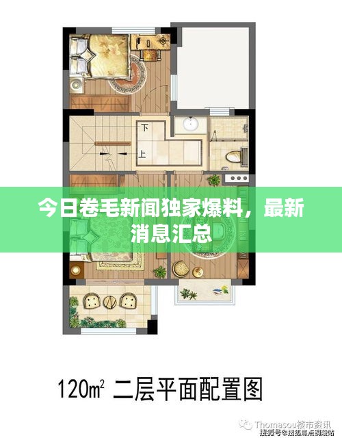 今日卷毛新闻独家爆料，最新消息汇总