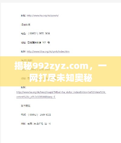 揭秘992zyz.com，一网打尽未知奥秘