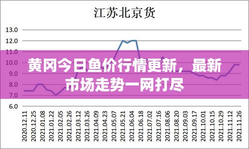 黄冈今日鱼价行情更新，最新市场走势一网打尽