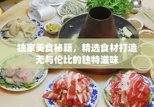独家美食秘籍，精选食材打造无与伦比的独特滋味