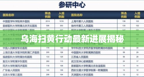 乌海扫黄行动最新进展揭秘
