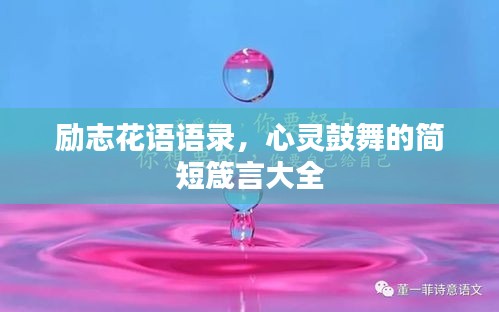 励志花语语录，心灵鼓舞的简短箴言大全