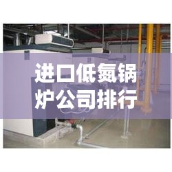 进口低氮锅炉公司排行榜及行业影响力解析