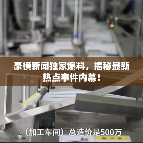 豪横新闻独家爆料，揭秘最新热点事件内幕！