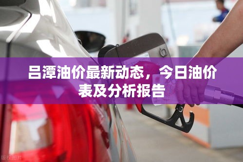 项目介绍 第35页