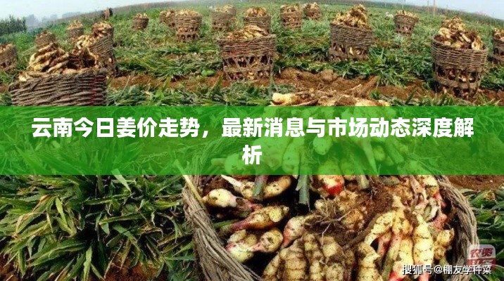 漫不经心