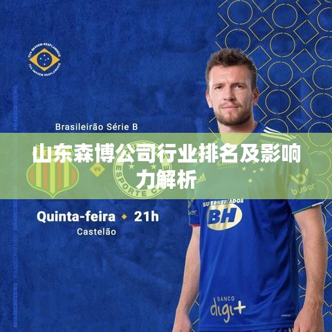 山东森博公司行业排名及影响力解析