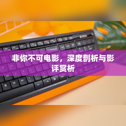 矫枉过正